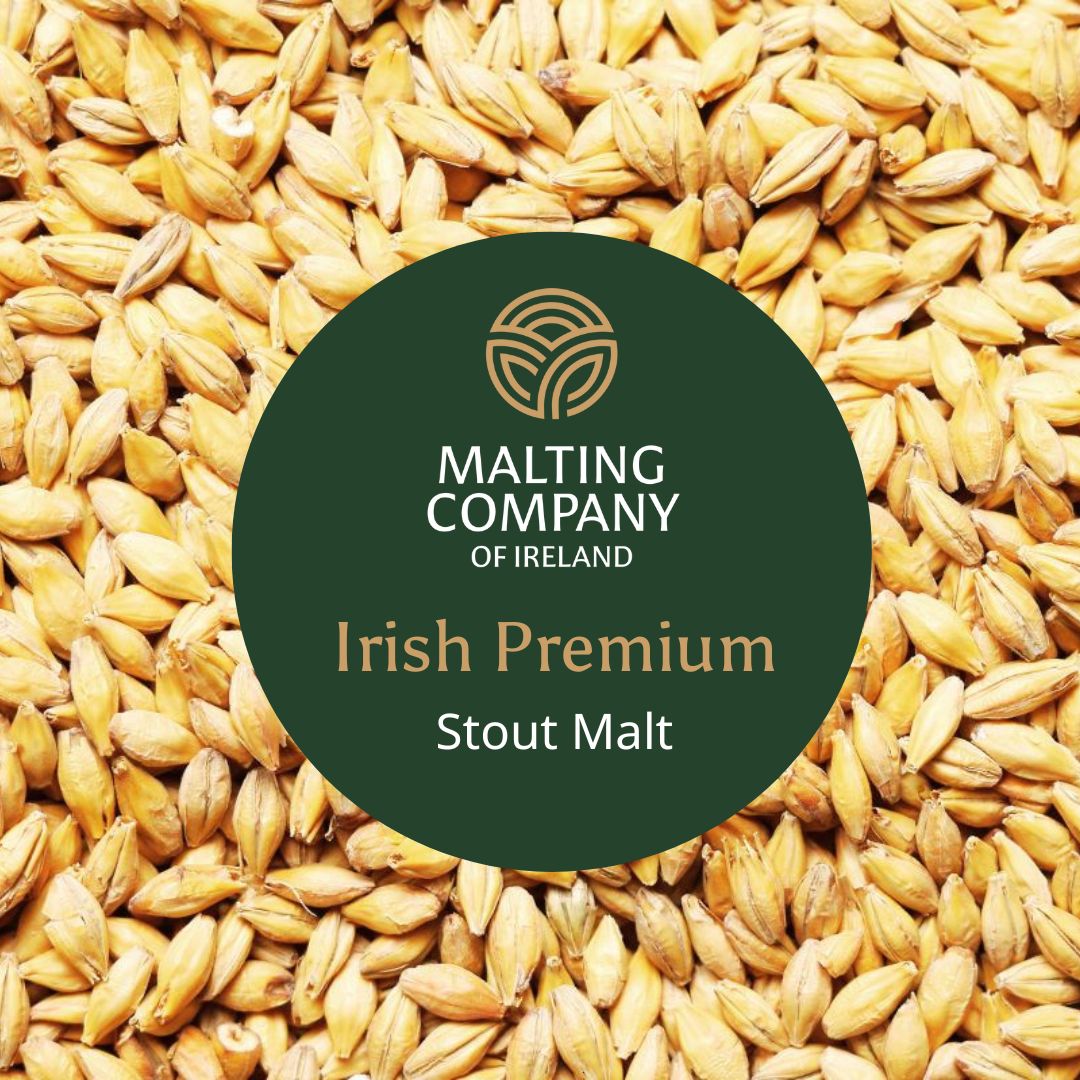 MCI Irish Premium Stout Malt