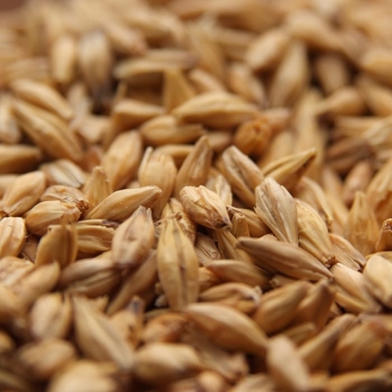 weyermann acidulated malt