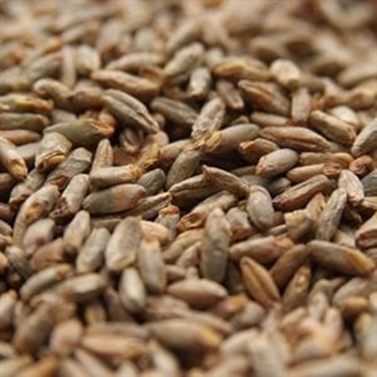 weyermann bioland rye malt organic