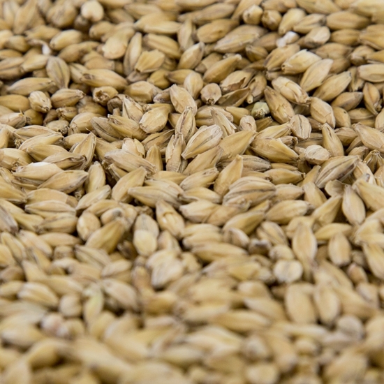 gambrinus pale malt