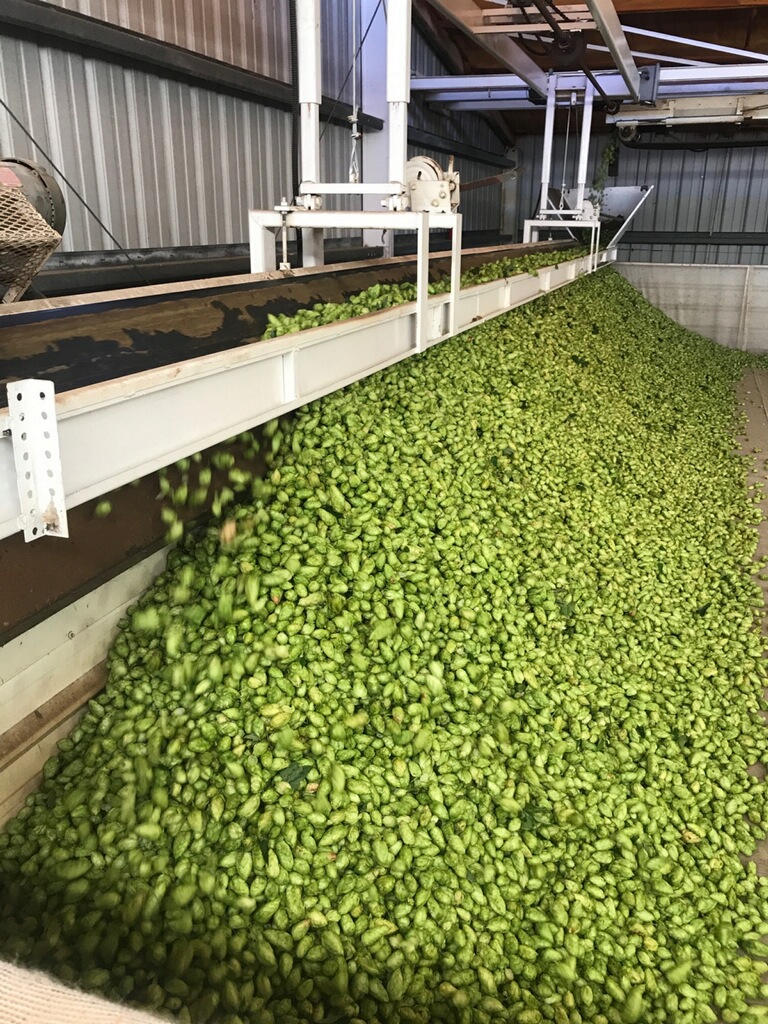 CentennialHarvest