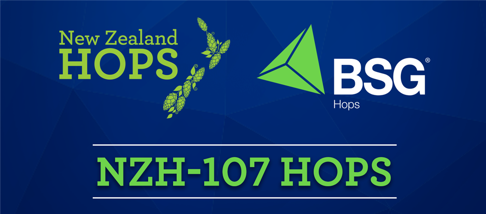 NZH Blog Header