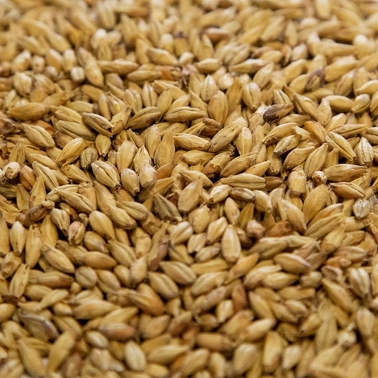 Picture of Base Malt