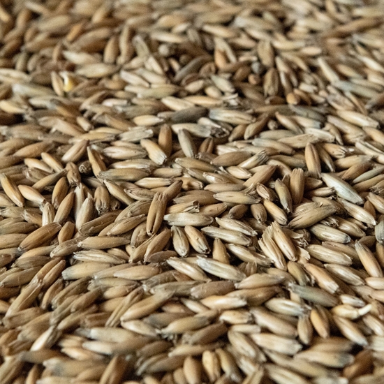 Picture of Other Grains