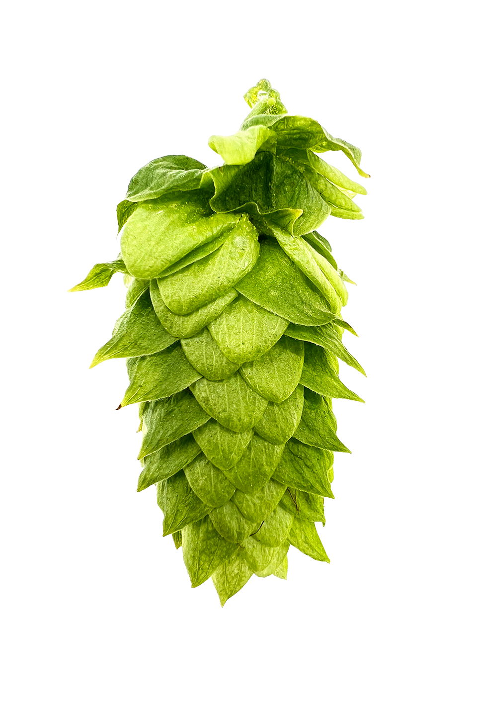 Picture of Erebus™