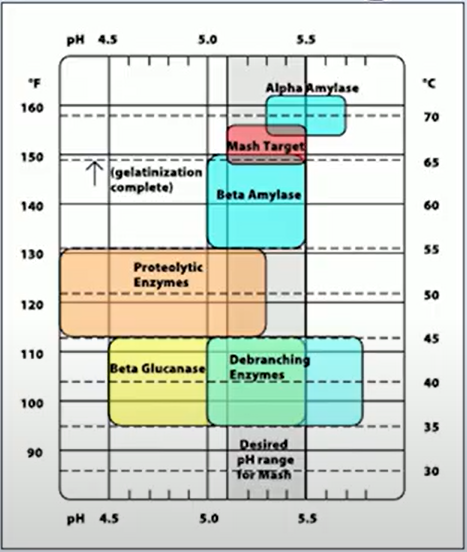 Image of How the Mash Works 500g