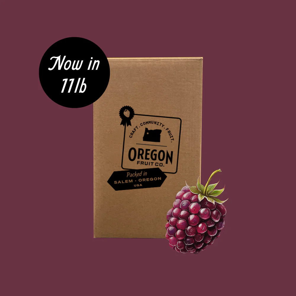 Picture of Oregon Fruit Blackberry Puree – 11 lb