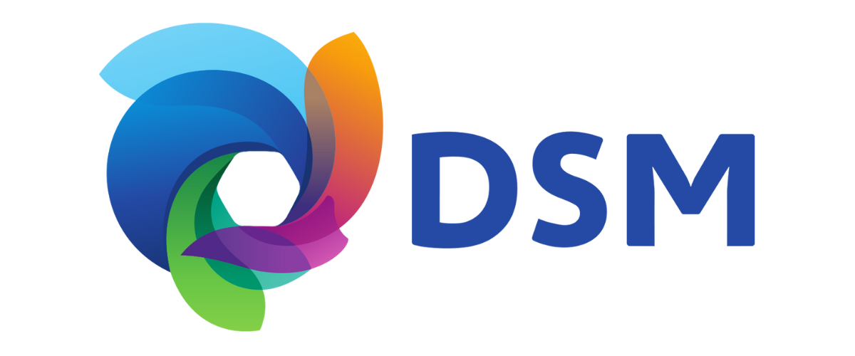 DSM Logo